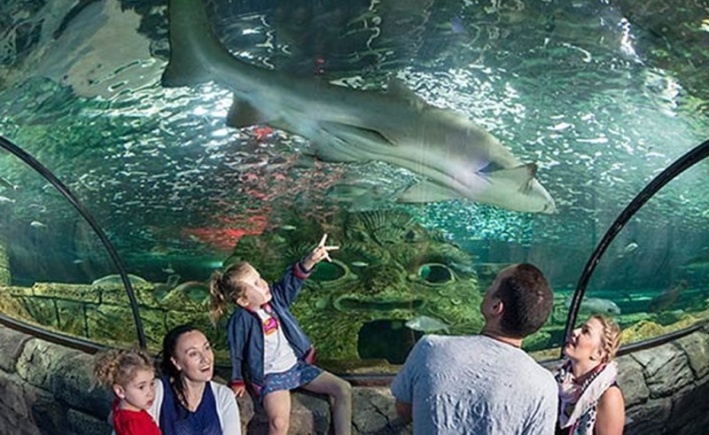 1566908023-2 (1).jpg