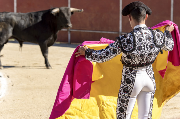 Close-up of a bullfighter seen from behind bullfighting a bull in the Plaza of Spain