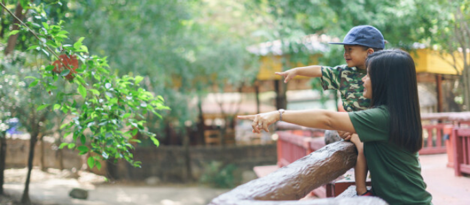 Visit Taronga Zoo.png